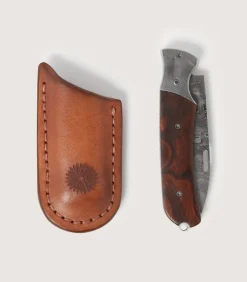 Falcon Folding Knife With Damascus Blade