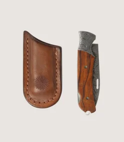 Hunter Folding Knife With Lock Back