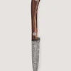 The Damascus Muntjac In Desert Ironwood