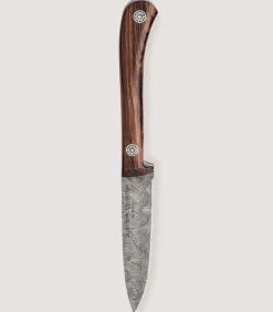 The Damascus Muntjac In Desert Ironwood