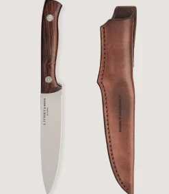 The Steel Red In Desert Ironwood